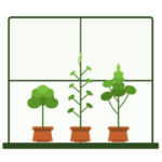 Urban Herb Garden